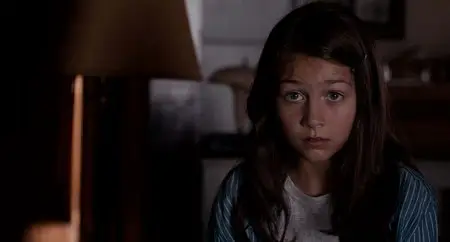 The Magic of Belle Isle (2012)
