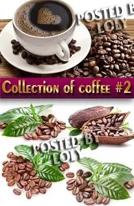 Food. Mega Collection. Coffee and coffee beans #2 - Stock Photo