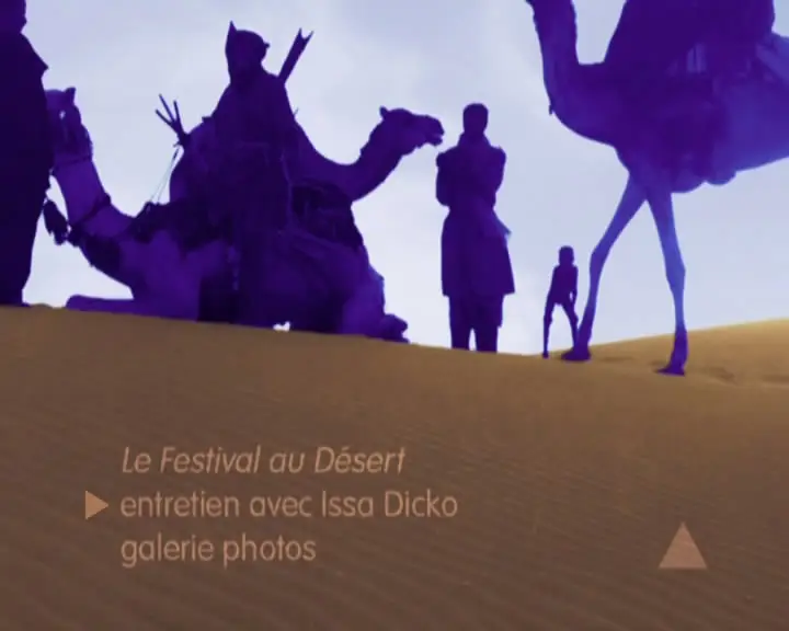 VA - Festival In The Desert (2004)