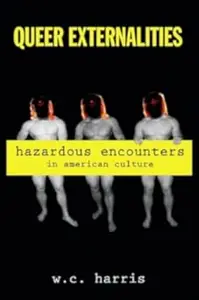 Queer Externalities: Hazardous Encounters in American Culture