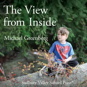 The View from Inside