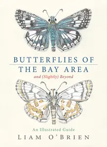 Butterflies of the Bay Area and (Slightly) Beyond: An Illustrated Guide