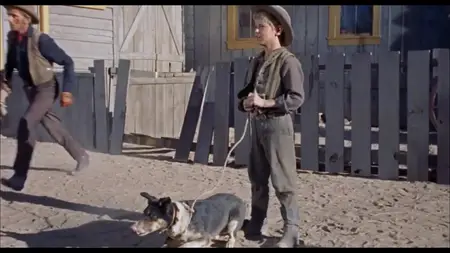 The Proud Rebel (1958)