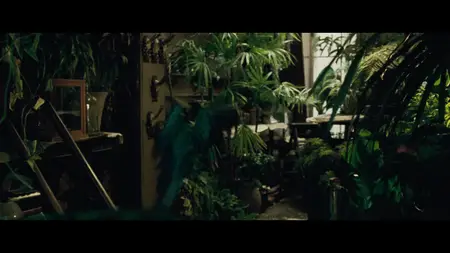 Sherlock Holmes: A Game of Shadows (2011)