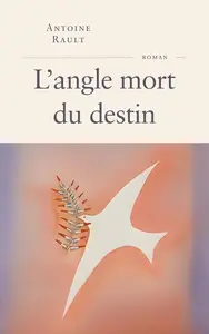 L'angle mort du destin - Antoine Rault