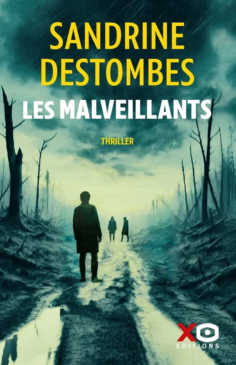 Sandrine Destombes, "Les malveillants"