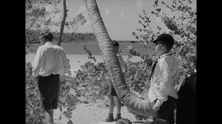 Lord of the Flies (1963) [Criterion] + Commentary