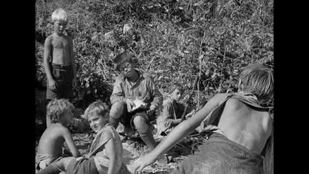 Lord of the Flies (1963) [Criterion] + Commentary