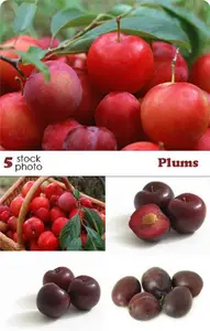 Photos - Plums