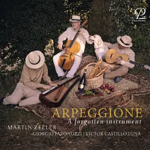 Martin Zeller, Giorgio Paronuzzi & Víctor Castillo Luna - Arpeggione: A Forgotten Instrument (2024) [Digital Download 24/96]