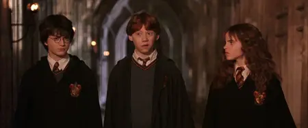 Harry Potter and the Chamber of Secrets (2002)