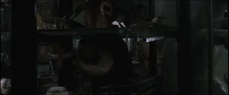 Harry Potter and the Chamber of Secrets (2002)