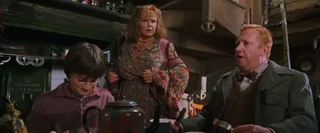 Harry Potter and the Chamber of Secrets (2002)