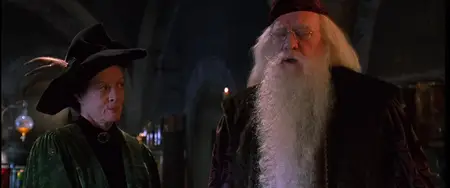 Harry Potter and the Chamber of Secrets (2002)