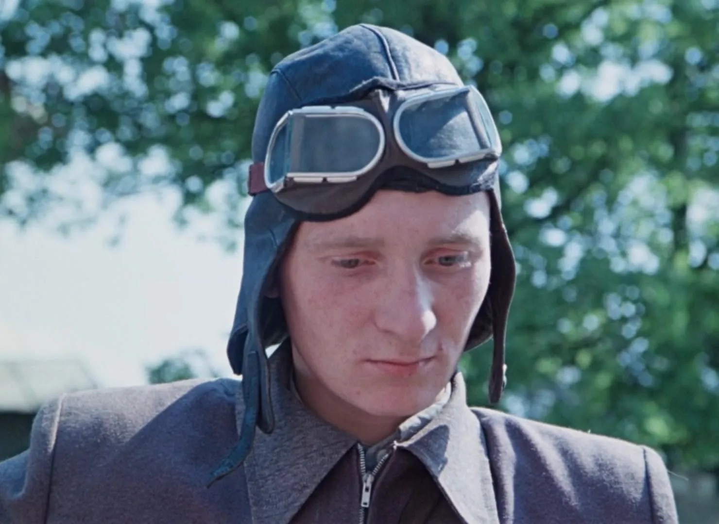 The Ideal Landscape (1981)