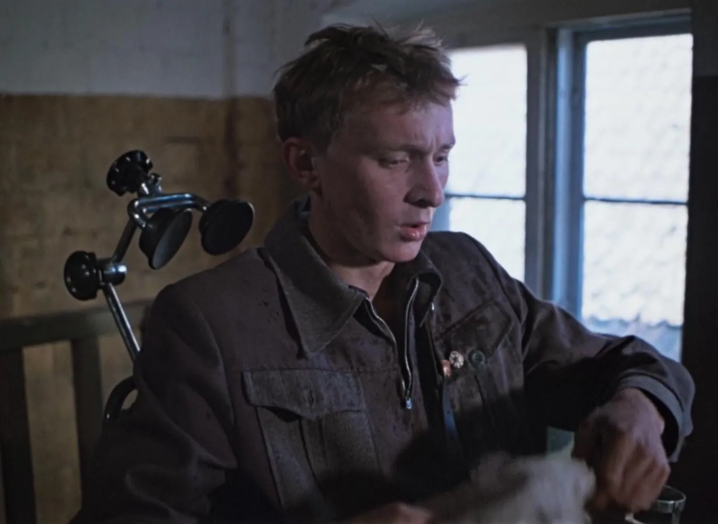 The Ideal Landscape (1981)