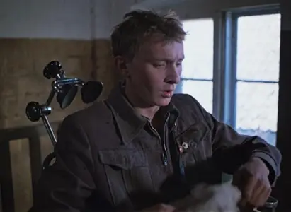 The Ideal Landscape (1981)