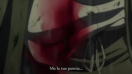 Rainbow 12 ,480p| mkv ~bY BKT ~  - Rainbow 12 x264+AAC ITA  nfo" yEnc
