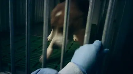 Undercover. Inside the Bunker (2025)
