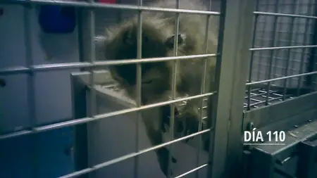 Undercover. Inside the Bunker (2025)