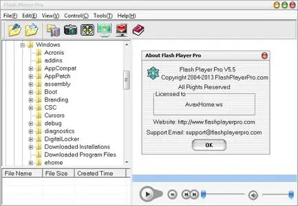 Flash Player Pro 5.5