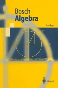 Algebra, Auflage: 3 (Repost)