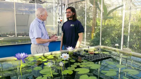 Kingdom of Plants (2012)