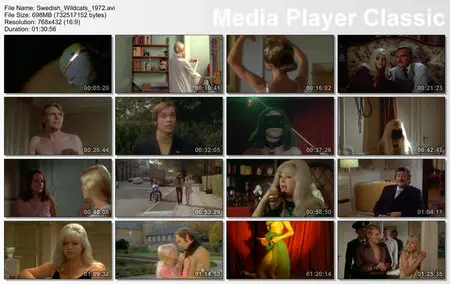 Swedish Wildcats (1972)
