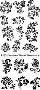 Vectors - Various Floral Elements 5