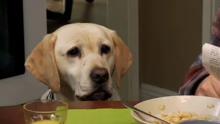 The Dog Who Saved Halloween (2011)