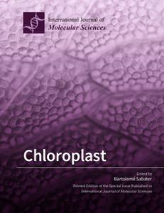Chloroplast (Repost)