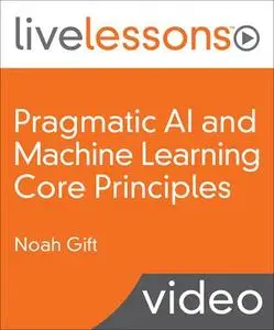Pragmatic AI and Machine Learning Core Principles
