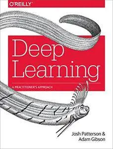 Deep Learning: A Practitioner's Approach