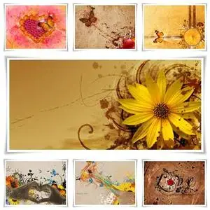 Nice Vectorals Wallpapers