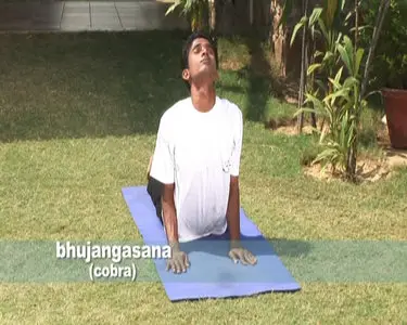 Sivananda Yoga - Basic Level