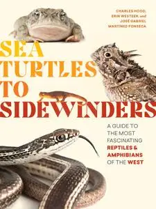 Sea Turtles to Sidewinders: A Guide to the Most Fascinating Reptiles and Amphibians of the West