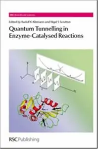 Quantum Tunnelling in Enzyme-Catalysed Reactions (repost)