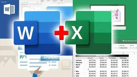 Office 365: Excel and Word BUNDLE - Beginner to expert