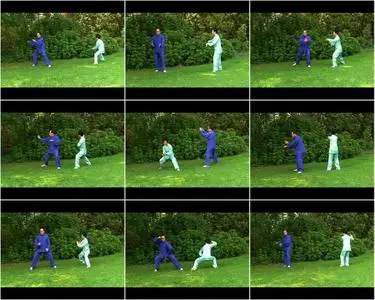 Tai Chi 5 DVD Set for Relaxation and Better Health