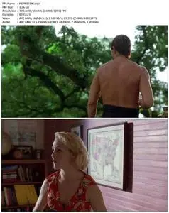 Heaven's Prisoners (1996)