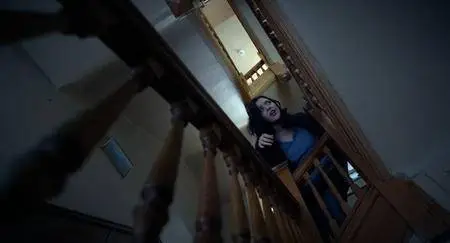 The Dark Stranger (2015)