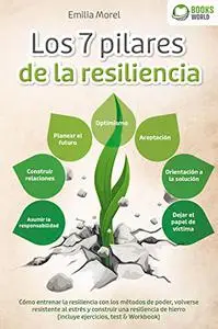 Los 7 pilares de la resiliencia