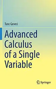 Advanced Calculus of a Single Variable (Repost)