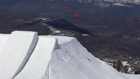 The Art of Flight (2011)