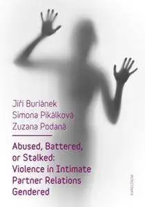 Abused, Battered, or Stalked : Violence in Intimate Partner Relations Gendered