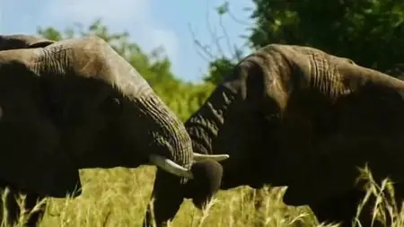 ITV - Poaching Wars (2013)
