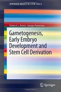 Gametogenesis, Early Embryo Development and Stem Cell Derivation (Repost)