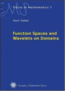Function Spaces and Wavelets on Domains