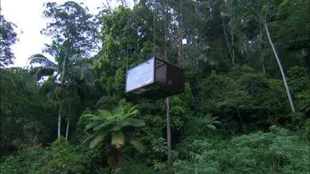 I'm a Celebrity Get Me Out of Here! S17E16