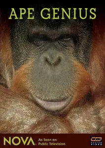 NOVA Ape Genius (2008)
